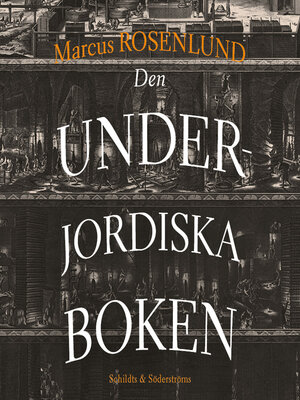 cover image of Den underjordiska boken